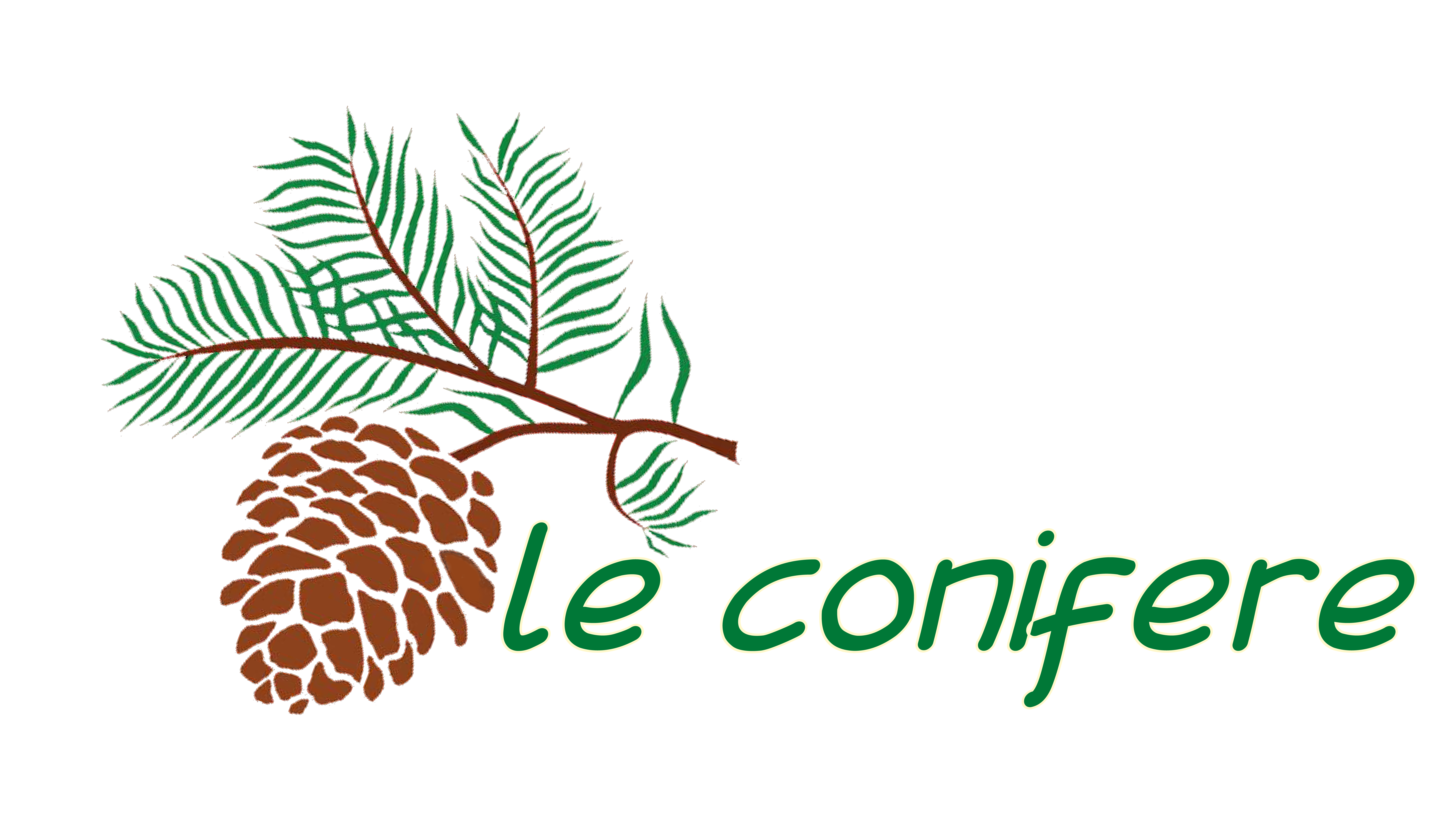 Le Conifere